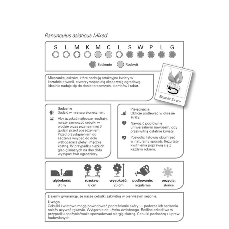 Jesenné cibuľky masliakov Verve mix 15 ks.