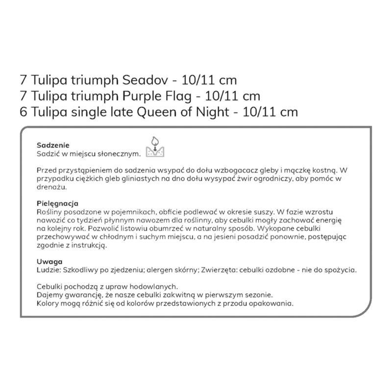 Verve vysoké tulipánové cibuľky čierna a fialová mix 25 ks.