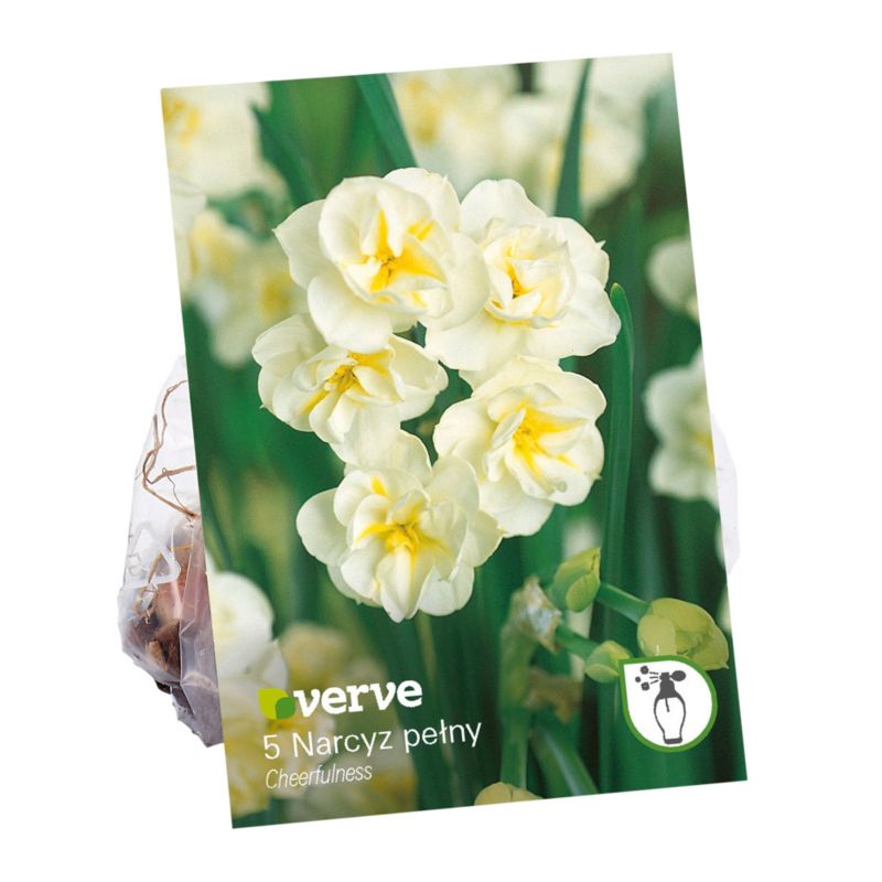 Verve Cheerfulness vysoké cibuľky narcisov 5 ks.