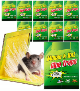 Nástraha na myši a potkany - 10x BUZZRAP LEP PAW PASCA NA MYŠI POKANY