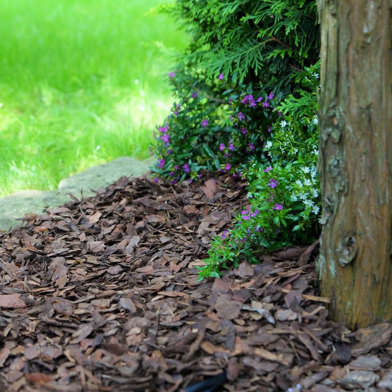 Sobex zmiešaná ihličnatá kôra 80 l