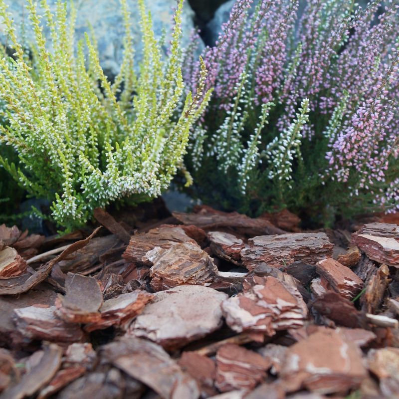 Triedená kôra Sobex 20 - 50 mm 80 l