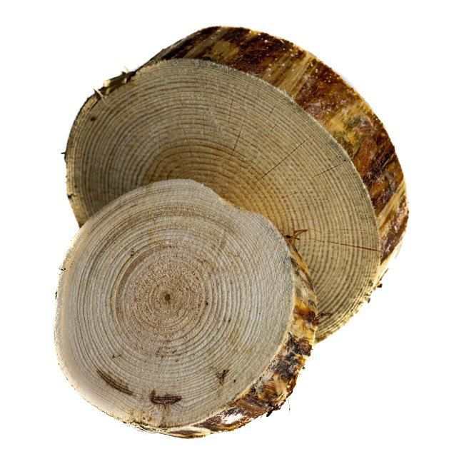 Floorpol drevený kotúč, priem Hrúbka 100-200 mm 35 mm borovica