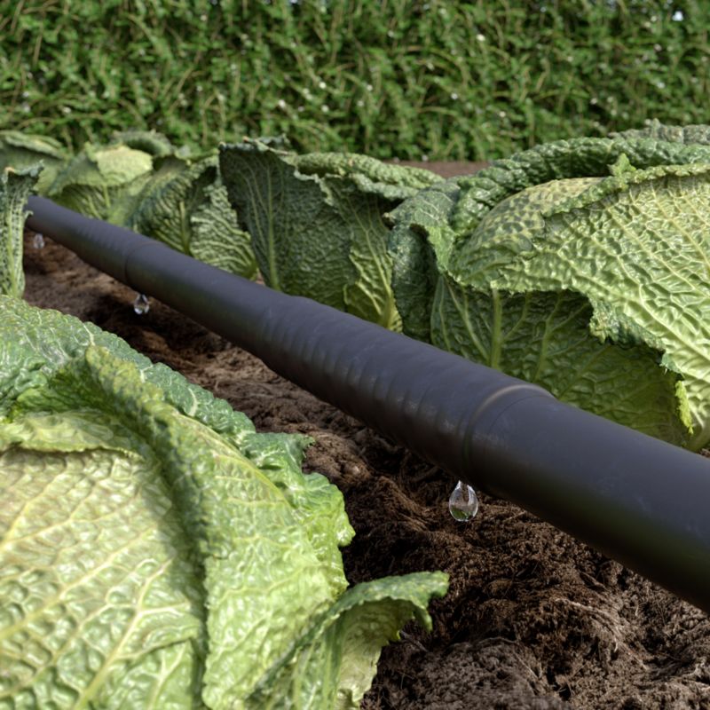 Odkvapkávacia linka 50 m