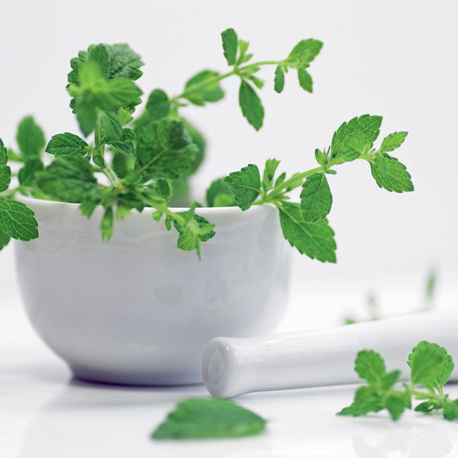 Kvetináč Melissa (Melissa) 14 cm