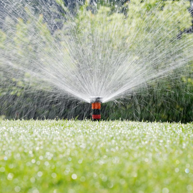 Colibri 360 stupňov 2'' mikropostrekovač