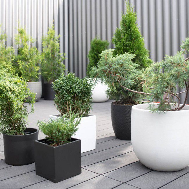 SK Soendgen Keramik Latina obal na kvetináč 17 x 17 cm antracit