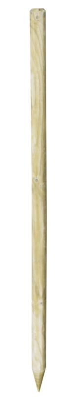 Palik Blooma 6 x 150 cm