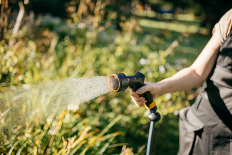 Striekacia pištoľ Fiskars Solid