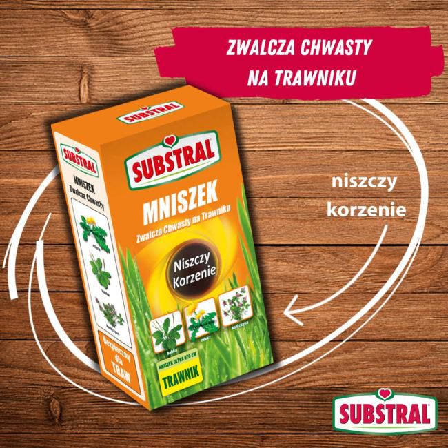 Substral Mniszek Ultra 500 ml