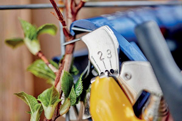 Záhradné kliešte Rapid GP 238