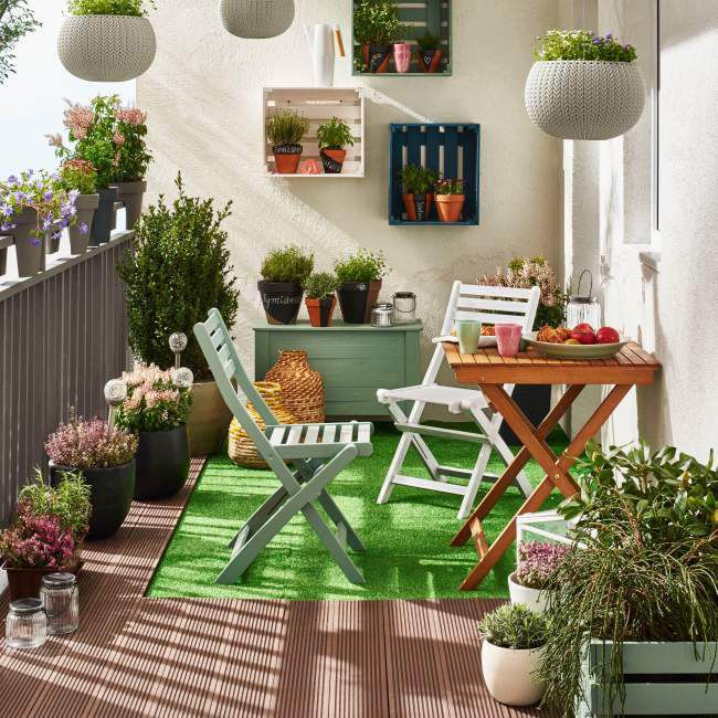 Tymián obyčajný (Thymus vulgaris) črepník 14 cm